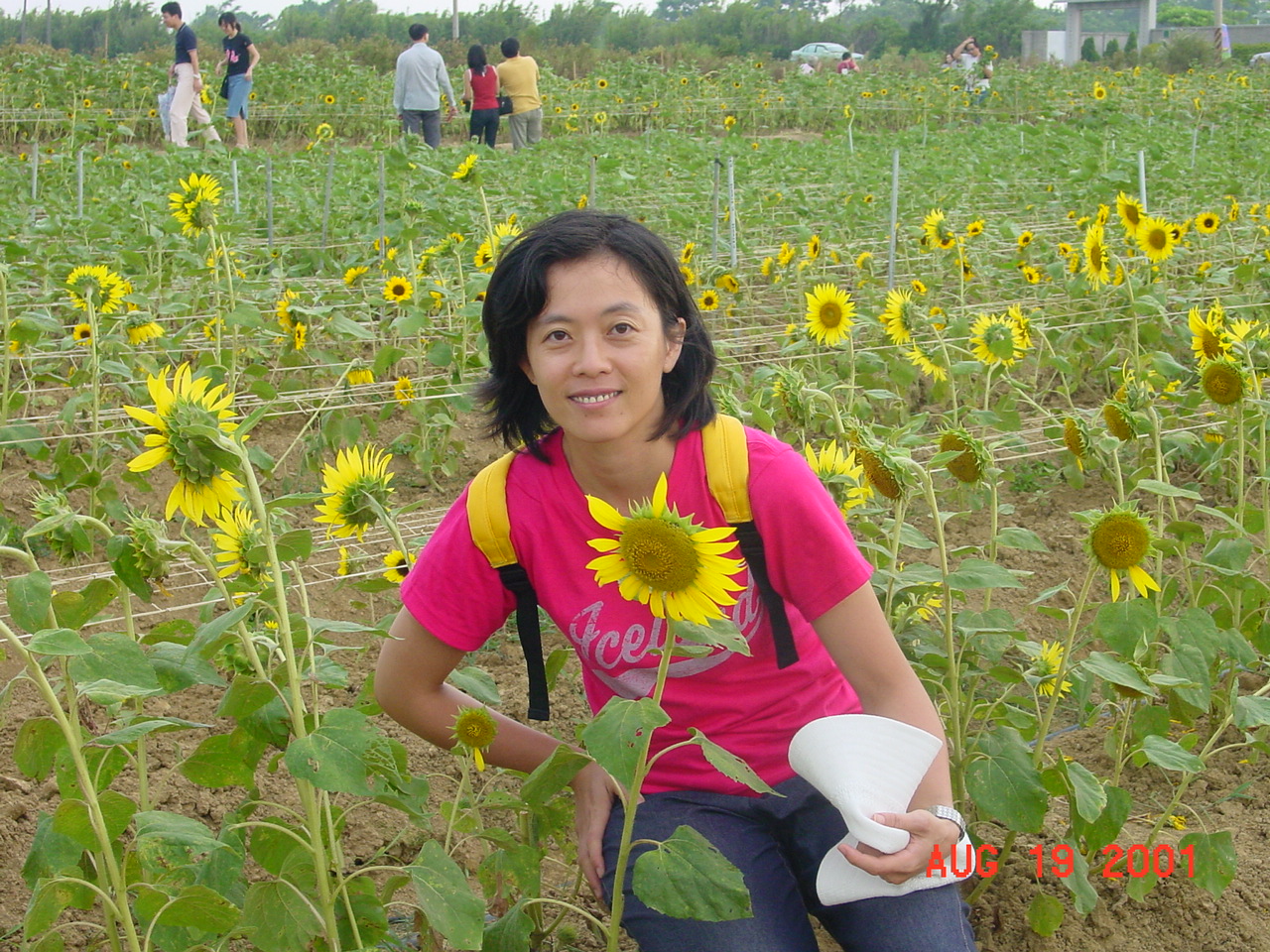 DSC00044.JPG (597273 bytes)